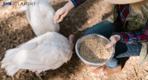 Animal Feed Market